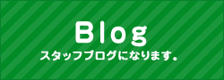 スタッフブログ
